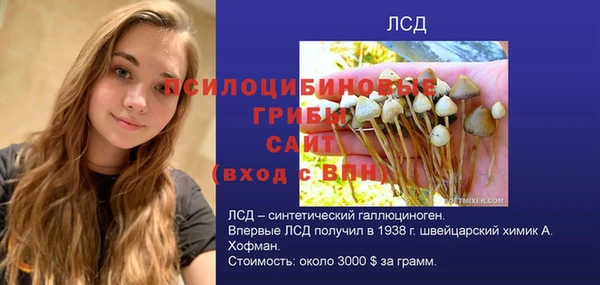 таблы Гусиноозёрск